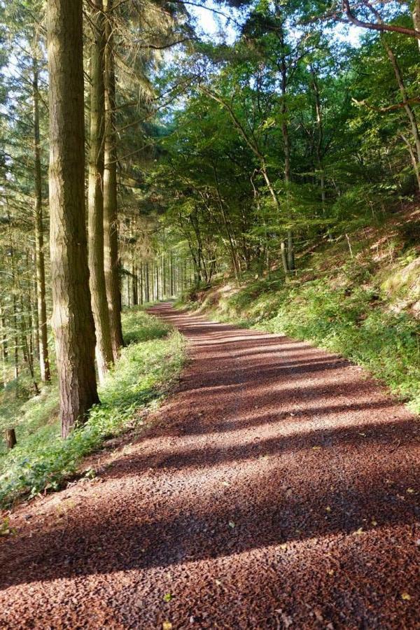 Ferienwohnungen Naheliebe Im Hunsrueck & Naheland Bärenbach 외부 사진
