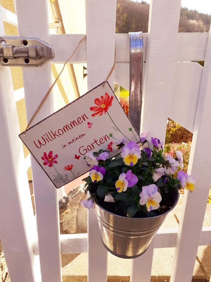 Ferienwohnungen Naheliebe Im Hunsrueck & Naheland Bärenbach 외부 사진
